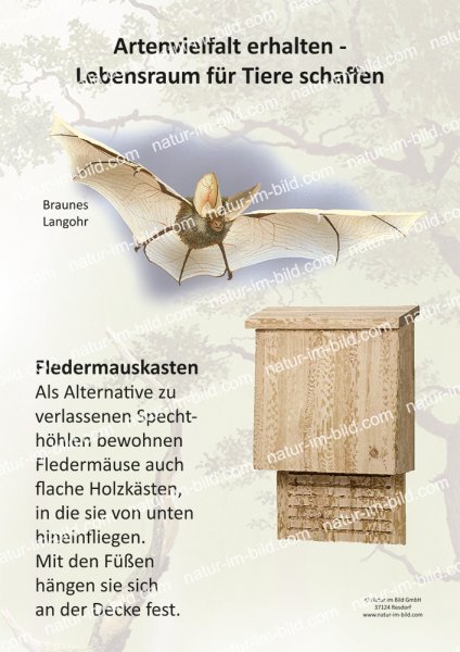 Artenvielfalt erhalten - Lebensraum für Tiere schaffen - Fledermauskasten