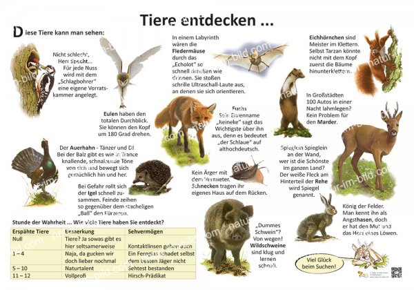 Tiere entdecken