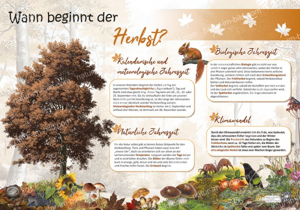 Wann beginnt der Herbst