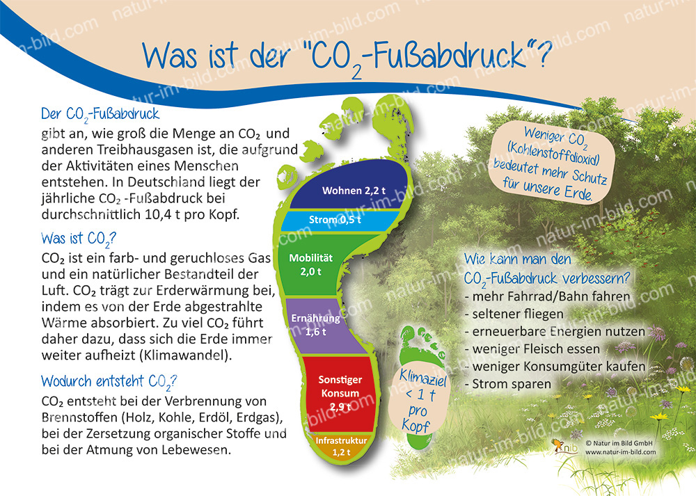 Was ist der "CO2 Fußabdruck" | Ökologie | Lehrtafeln | Natur im Bild