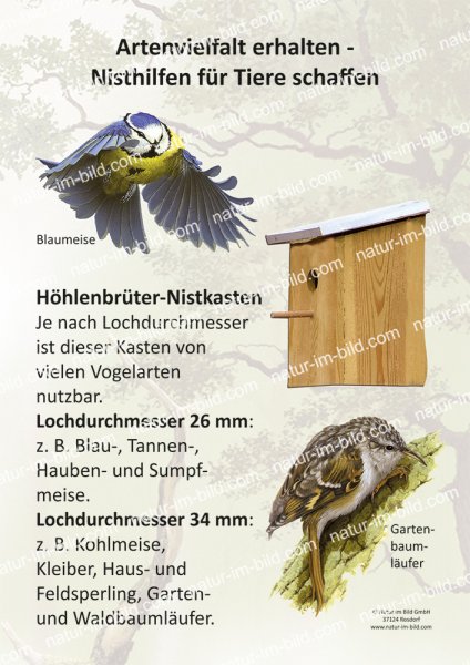 Nisthilfe für Tiere - Höhlenbrüternistkasten