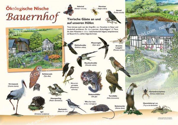 Ökologische Nische Bauernhof