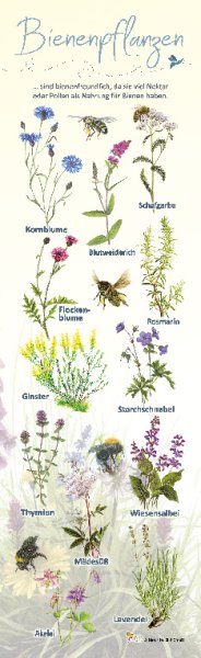 Bienenpflanzen, 21 x 70 cm, 10 mm HPL