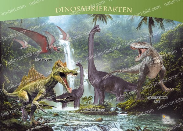 Dinosaurierarten 1
