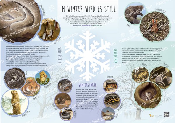 Im Winter wird es still