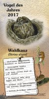 Waldkauz - Vogel des Jahres 2017