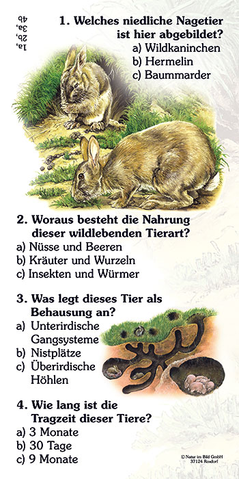 Educa Defi Quiz Tiere & Natur – Lernspiel Für Kinder Ab 6 Jahren Mit über 380 Fragen