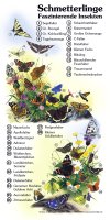 Schmetterlinge - Faszinierende Insekten