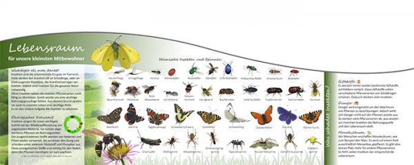 Lebensraum für unsere kleinsten Mitbewohner