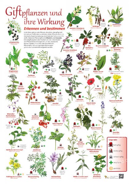 Giftpflanzen und ihre Wirkung