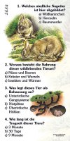 Wildkaninchen - Quiz
