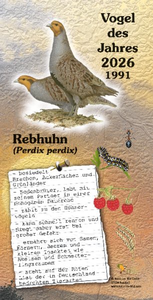Rebhuhn - Vogel des Jahres 2026 + 1991