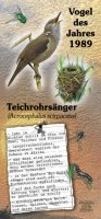 Teichrohrsänger - Vogel des Jahres 1989