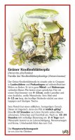 Grüner Knollenblätterpilz