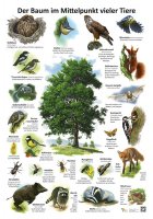 Der Baum im Mittelpunkt vieler Tiere