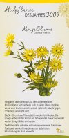 2009 Ringelblume