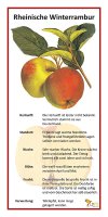 Rheinischer Winterrambur