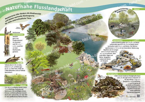 Naturnahe Flusslandschaften