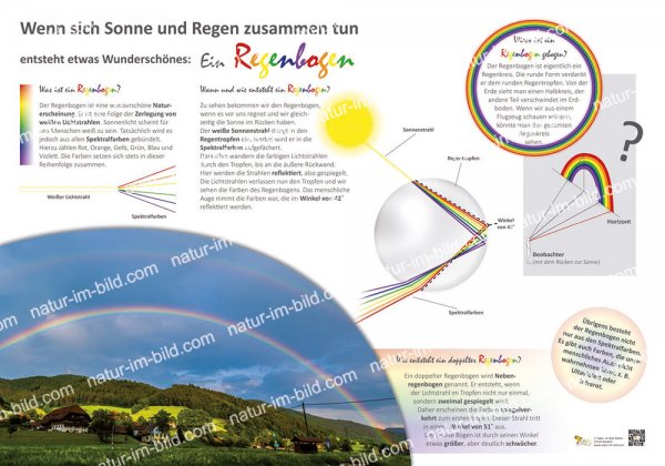 Wenn sich Sonne und Regen zusammen tun