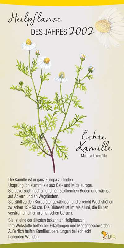 Heilpflanze Des Jahres 2002 Echte Kamille Natur Im Bild Lehrtafeln heilpflanze-des-jahres-2002-echte-kamille-natur-im-bild-lehrtafeln