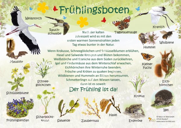 Frühlingsboten