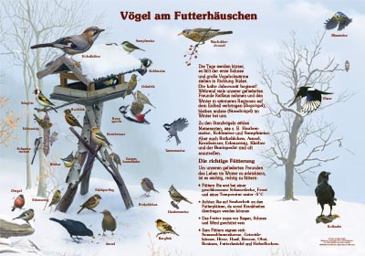 Vögel am Futterhäuschen Natur im Bild Lehrtafeln für Natur, Lehr