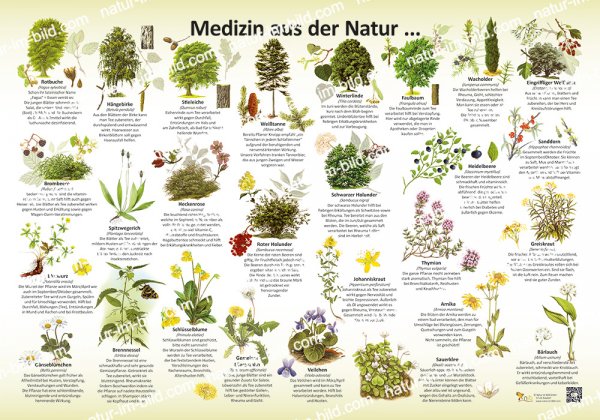 Medizin aus der Natur