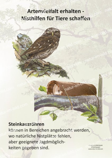 Artenvielfalt erhalten - Nisthilfen für Tiere schaffen - Steinkauzröhre