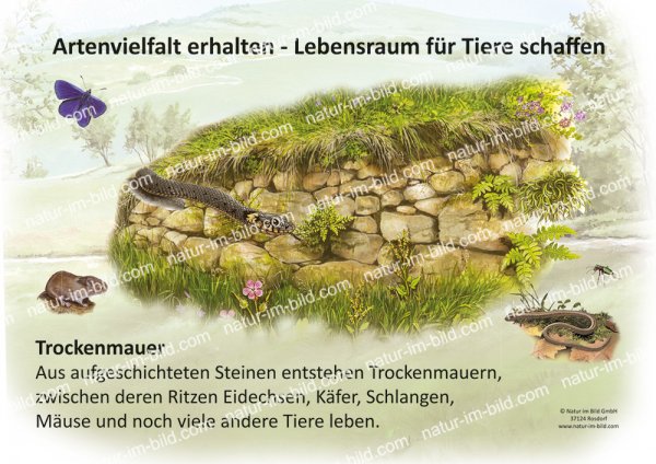 Artenvielfalt erhalten - Nisthilfen für Tiere schaffen - Trockenmauer