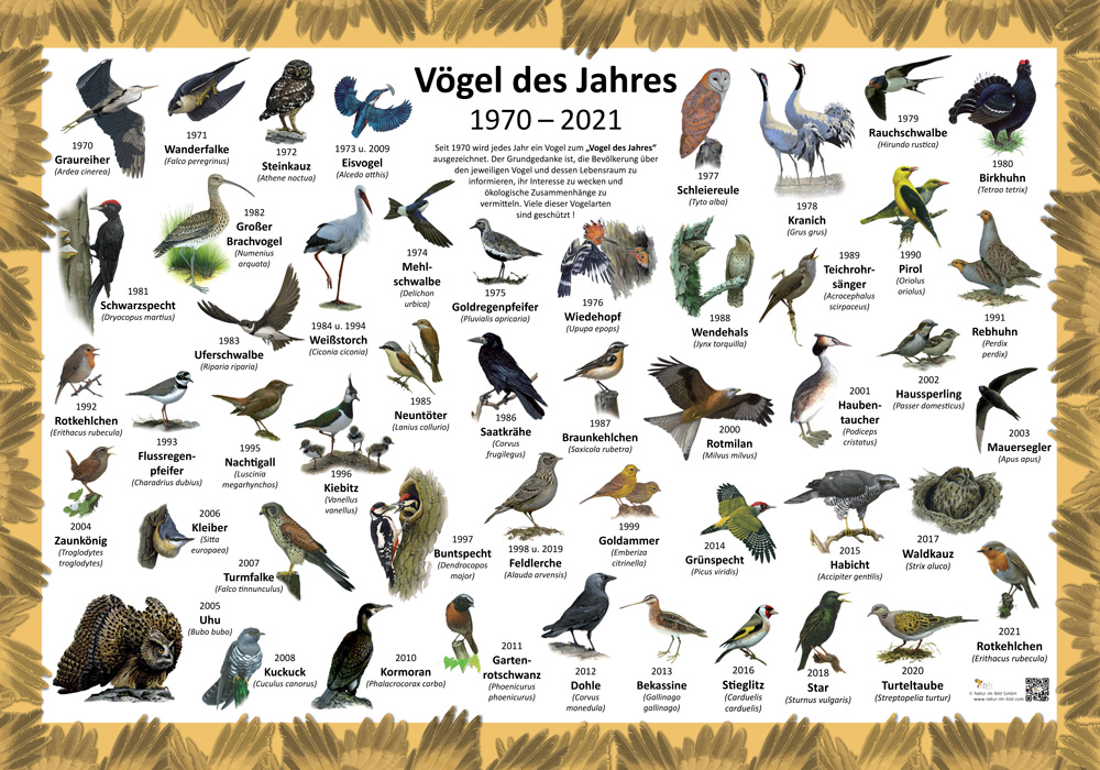 Wie Viele Vögel Gibt Es Auf Der Welt shop.natur-im-bild.com