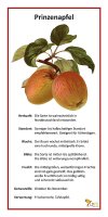 Prinzenapfel