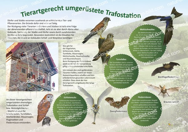 Tierartgerecht umgerüstete Trafostation
