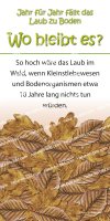 Wo bleibt es? Laub fällt zu Boden