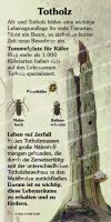 Totholz