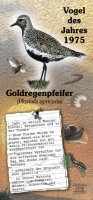 Goldregenpfeiffer - Vogel des Jahres 1975