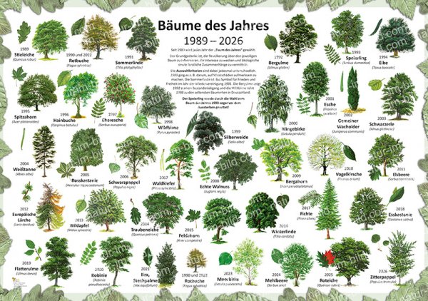 Bäume des Jahres 1989-2026