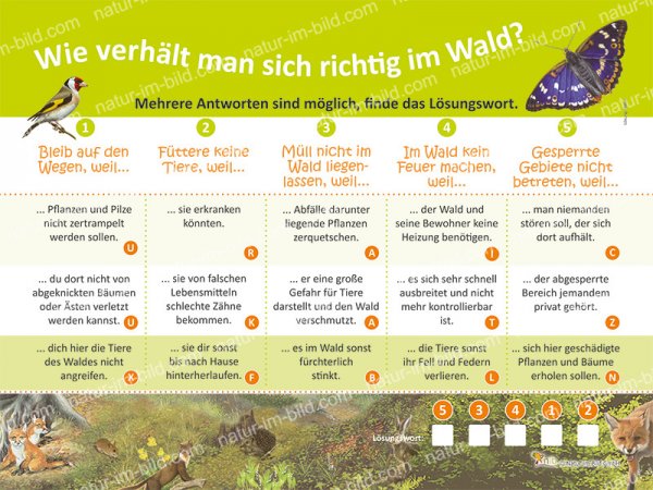 Wie verhält man sich richtig im Wald