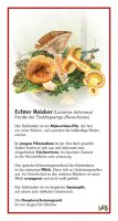 Echter Reizker