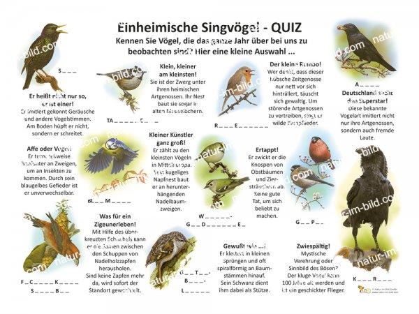 Einheimische Singvögel - Quiztafel