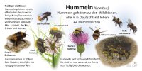 Hummeln