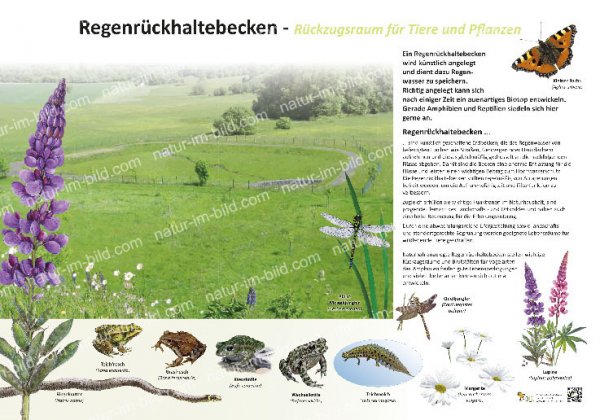 Regenrückhaltebecken