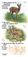 Rehwild - Quiz