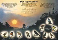 Der Vogelwecker