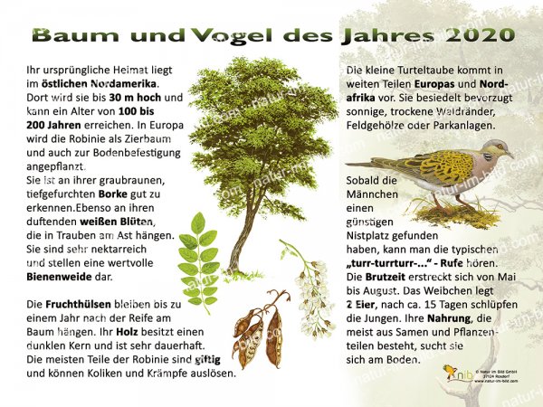 Baum und Vogel des Jahres 2020