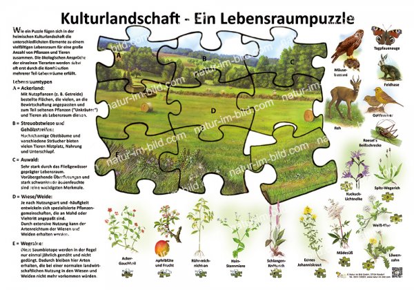 Kulturlandschaft - Ein Lebensraumpuzzle