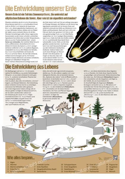 Die Entwicklung unserer Erde