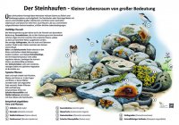 Der Steinhaufen - Kleiner Lebensraum von großer Bedeutung