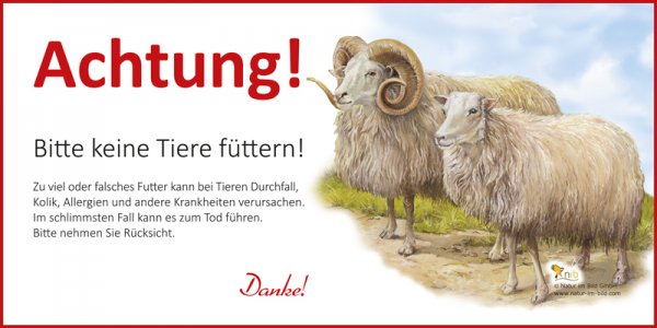 Achtung bitte keine Tiere füttern - Schaf