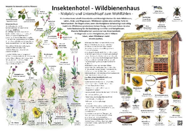 Insektenhotel - Wildbienenhaus