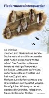 Fledermauswinterquartier